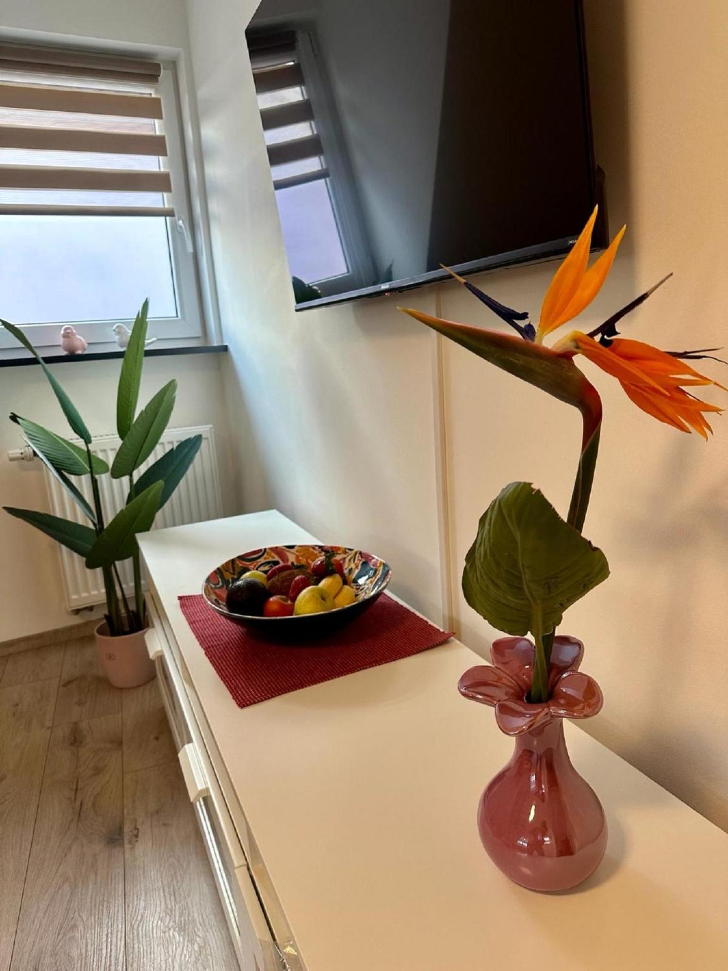 Ferienwohnungen Goja Bad Königshofen im Grabfeld Exterior foto